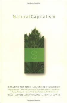 Natural Capitalism: Creating the Next Industrial Revolution (Amory Lovins, Hunter Lovins, Paul Hawken)